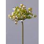 Rama Pyracantha artificial CLEO, con bayas, crema-verde, 20cm