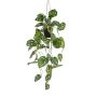 Filodendro Monstera adansonii artificial, maceta colgante VANIELLE, maceta decorativa, 80 cm