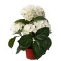 Hortensia sintética TEMARI, crema, 40cm, Ø10-12cm