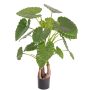 Planta artificial de alocasia odora SURI, verde, 120cm