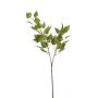 Rama decorativa de abedul NERIS con flores, verde, 70 cm