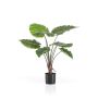 Planta artificial Alocasia Calidora FAYOR, verde, 70 cm