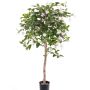 Fucsia artificial MINERVA, tronco real, flores, rosa palo, 90cm