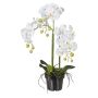 Orquídea Phalaenopsis artificial LOPASY, raíces, blanca, 60 cm
