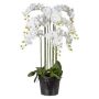 Orquídea Phalaenopsis artificial LOPASY, raíces, blanca, 110 cm