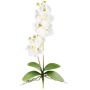Orquídea Phalaenopsis MORLEK de tela, varilla, raíces, crema, 60 cm