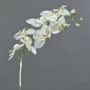 Orquídea Phalaenopsis artificial NALANI, nevado blanco, 80cm, Ø8-10cm