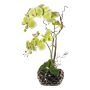 Arreglo floral artificial de orquídea y sauce retorcido TICHIO, jarrón decorativo, raíces, verde, 55 cm
