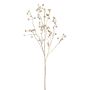 Rama decorativa rosa de patata BLINTO con escaramujos, dorado metalizado, 135 cm