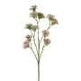 Rama decorativa de milenrama GRUNTO, rosa, 65 cm