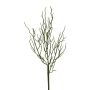 Rama decorativa arándano VERNIK, marrón, 45 cm