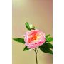 Peonía artificial FYRFAR, abierta, rosa, 60 cm