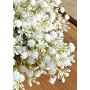 Corona de flores artificiales con gypsophila CECILIA, blanco crema, Ø 35 cm
