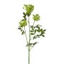Rama artificial de zanahoria silvestre TOLHER, verde, 85 cm