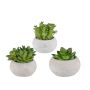Arreglo floral artificial de suculentas ZIFER en maceta de cemento, 3 unidades, verde, 8-10 cm