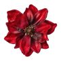 Magnolia de terciopelo BURFFY, rojo burdeos, Ø 16 cm