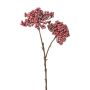 Rama decorativa de saúco ZORNKE, bayas, rosa oscuro, 50 cm