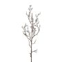 Rama decorativa de bayas KLIMOR, bayas, plateado, 60 cm