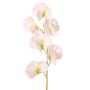 Flor artificial Lathyrus WAHNY, blanco-verde, 35 cm, Ø 5 cm