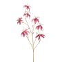 Gloriosa de terciopelo KAZBEK, rosa viejo-dorado, 110 cm