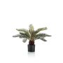 Palmera cycas artificial pequeña NEREO, 55 cm