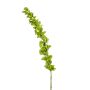 Flor artificial grande Campana de Irlanda SOTO, verde, 105 cm