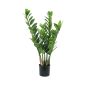 Zamioculcas falsa AKELA, verde, 70cm