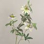 Flor decorativa pasiflora JULANDA, blanca-lila, 100 cm, Ø 9-11 cm