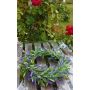 Corona de lavanda artificial OSTERLIND, lila, Ø30 cm