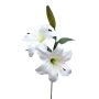 Rama de flores artificiales lirio RODEHILDE, crema-blanco, 65 cm