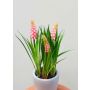 Flor artificial de muscari NARMADA en maceta de cemento, rosa, 20 cm