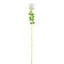 Rosa artificial EVARISTO aspecto de cristal, 12 piezas, blanco, 80cm