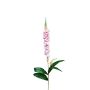 Flor decorativa verónica RUNHERDA, rosa, 75 cm