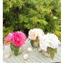 Ramo de flores artificiales de peonía VEIKO en jarrón de cristal, rosa, 15 cm