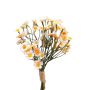 Ramo de flores artificiales crisantemos pequeños WEMKE, rosa claro-crema, 35 cm, Ø 13 cm