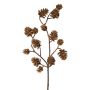 Rama decorativa Abeto KREMLA con piñas, marrón, 50 cm