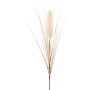 Panícula de hierba de la pampa artificial WALNIN, beige, 100 cm