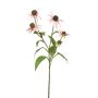 Rama decorativa sombrero de sol MILROV, rosa claro, 75 cm