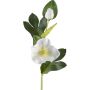 Flor artificial rosa DENDY, blanca, 35 cm