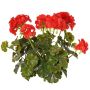Geranio artificial MALINA en varilla, crossdoor, rojo, 40 cm