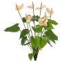 Anturio artificial NAKITA en varilla, rosa-crema, 50 cm
