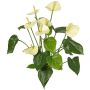 Anturio artificial NAKITA en varilla, crema, 50 cm