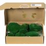 Musgo auténtico SEETHA, verde, 800 g, 0,15 m2
