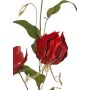 Rama de gloriosa de terciopelo DINFAS, rojo oscuro-dorado, 80 cm