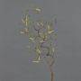 Rama de avellano artificial XANCHO, con amentos, marrón, 65cm