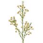 Rama decorativa de flor de cera FRINDALS, crema, 65 cm