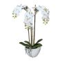 Orquídea Phalaenopsis artificial LARKEN en cuenco de cerámica, raíces, blanca, 50 cm