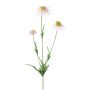 Rama decorativa de sombrero de sol KAELY, rosa claro, 65 cm
