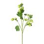 Rama artificial de lúpulo DRIHOL con flores, verde, 75 cm