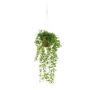 Hiedra colgante sintética JOHANNA, maceta decorativa, verde, 50cm
